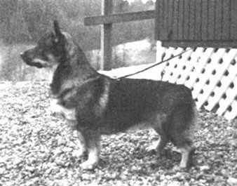 Image of Snäckans Halde