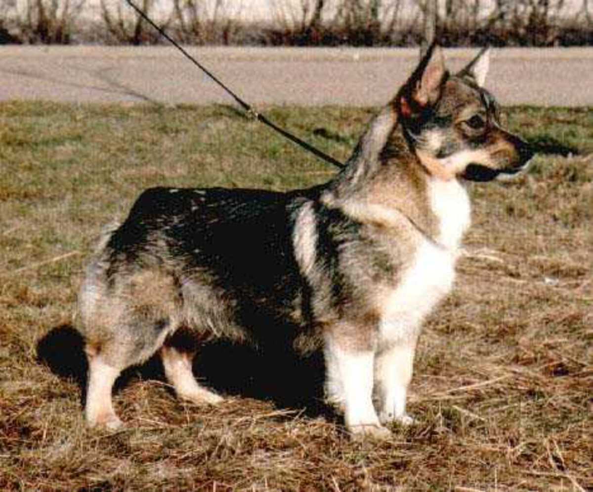 Image of Fennican Vinna Vildros