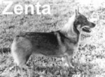 Thumbnail of Zenta S57057/84
