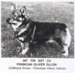 Thumbnail of Fennican Oliver Ollon