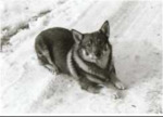 Thumbnail of Jampen S03871/72