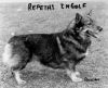 Thumbnail of Repeta's Ingolf