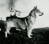 Thumbnail of Dixi  S12316/59
